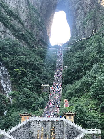 "...的票，个人特别推荐A线，索道上山，环保车下山，我们定的是B线环保车上山，索道下山，没有A线刺激_天门山国家森林公园"的评论图片