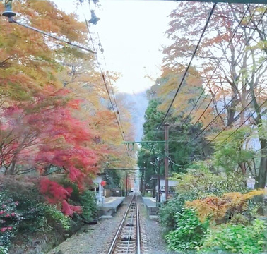 箱根登山铁道旅游景点攻略图