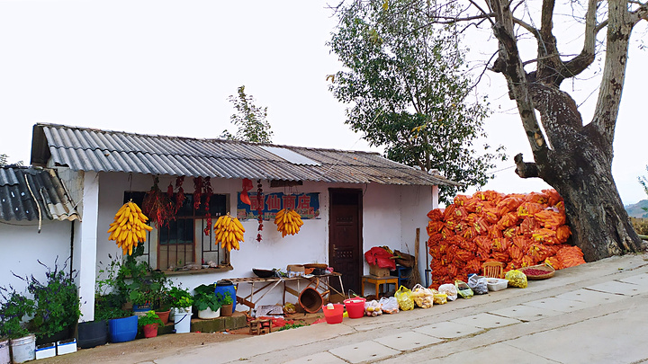"整个红土地景色都美极了！乐谱凹一带有错落有致的小村庄点缀，是黄昏欣赏红土地田园风光的好地方_落霞沟"的评论图片