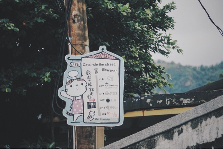 "台湾旅行 | 在猴硐🐱🐈我们一起学猫叫，一起喵喵喵喵_瑞芳区"的评论图片