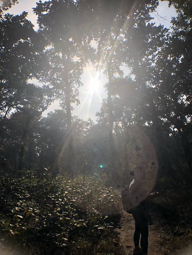 奇特旺那纳雅尼河