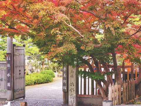 奈良公园旅游景点图片