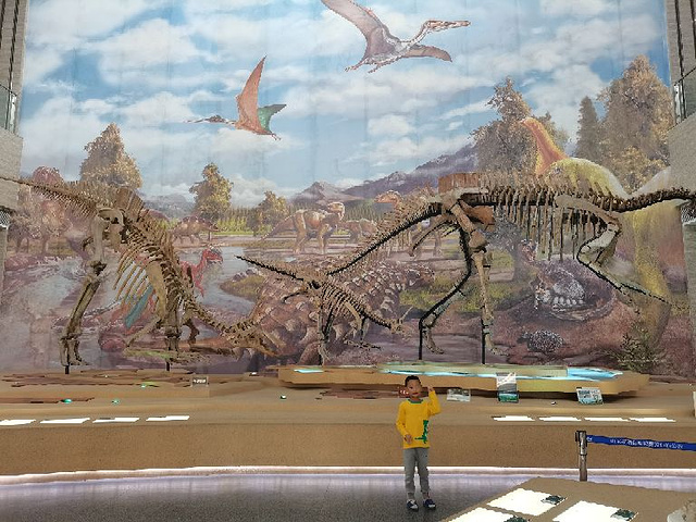 "...关部位化石 孩子喜欢的恐龙玩具拼图等 园林是发现恐龙的峡谷 对喜欢恐龙的孩子来说还是有可玩性的_白垩纪国家地质公园"的评论图片