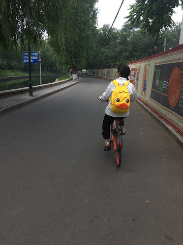 "_北京交通大学"的评论图片
