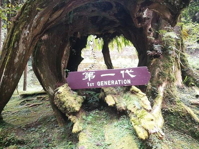 三代木(櫻木花道)