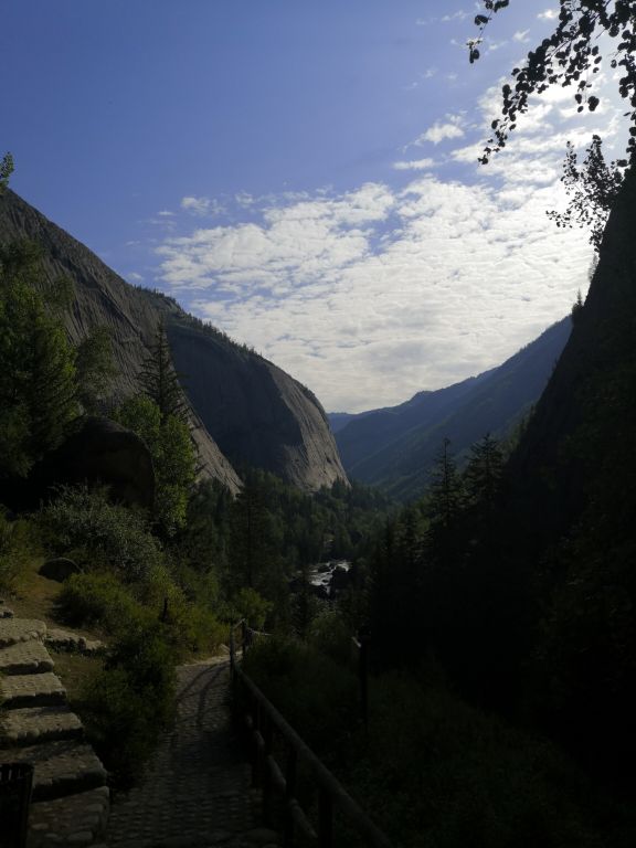 可可托海白桦林