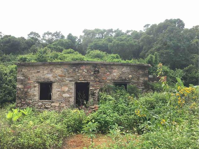 冠头岭国家森林公园赶海体验