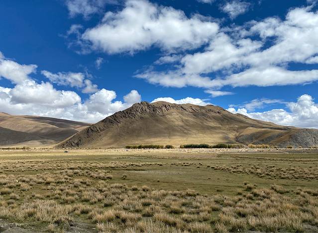 羊卓雍措-萨隆寺