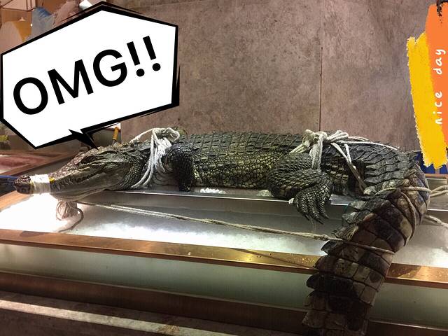 海鼎荟海鲜姿造(仟禧汇店)