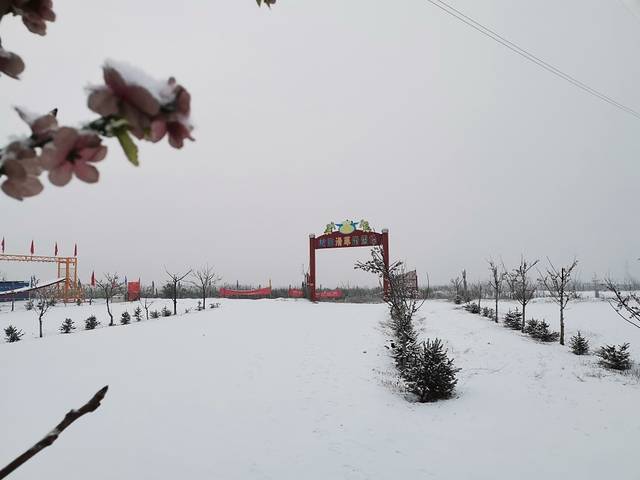 岭回滑草滑雪场