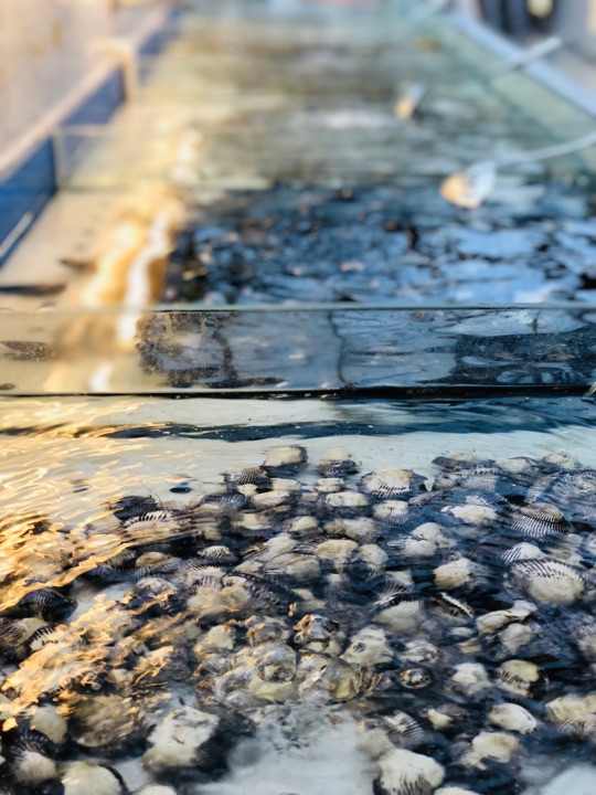 川骄海鲜自助(王府井奥莱UP TOWN店)