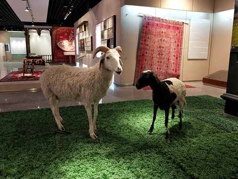 和田地毯博物馆的图片