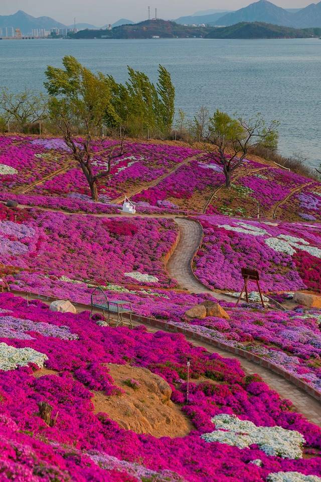 雨花谷生态观光园
