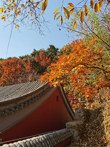 "灵慧山_灵慧山"的评论图片