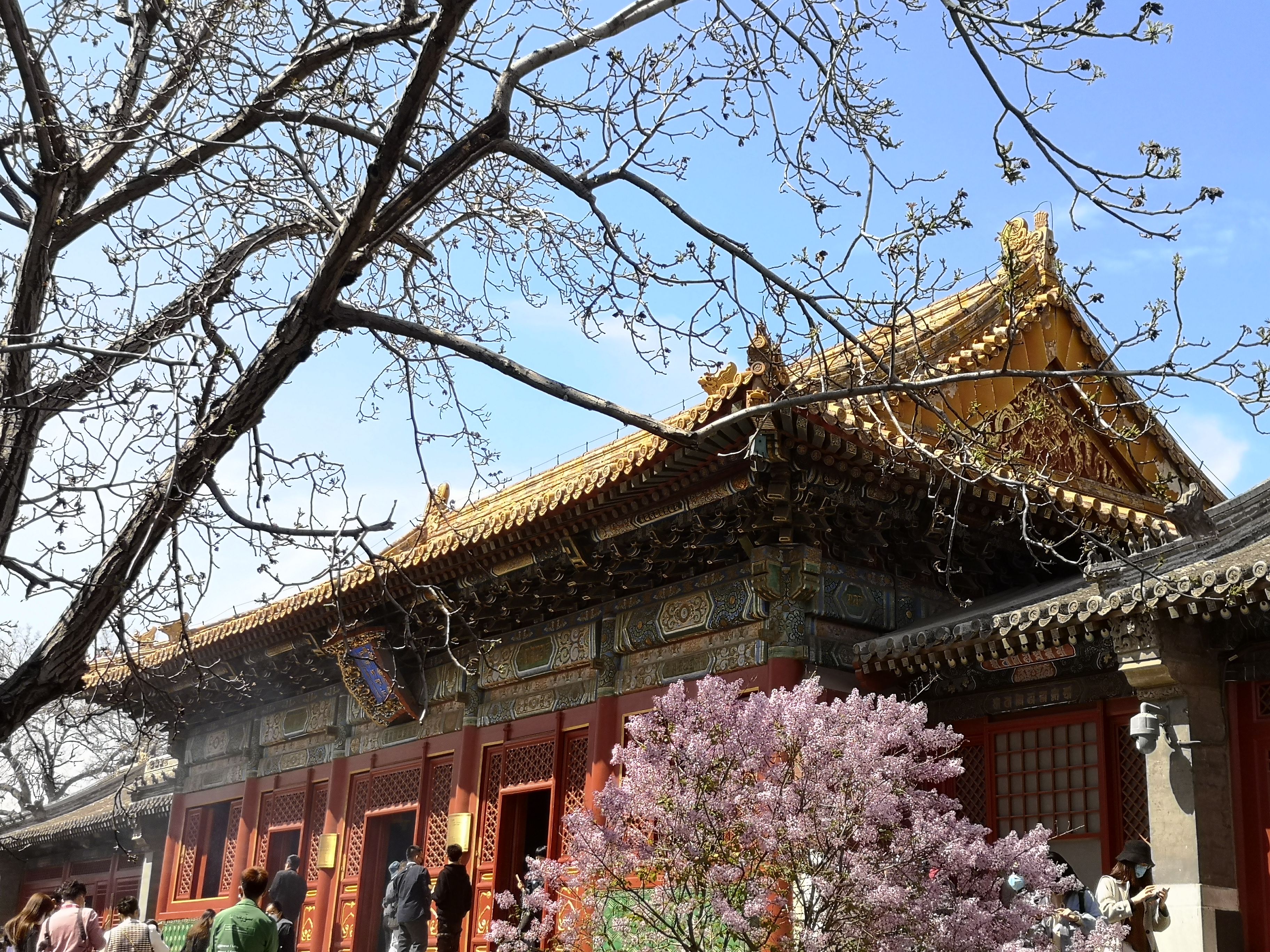 北京雍和宫、北海、什刹海、后海一日游-北京旅游攻略-游记-去哪儿攻略