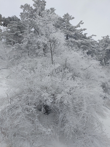"华山推荐_华山"的评论图片