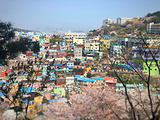 釜山旅游景点攻略图片