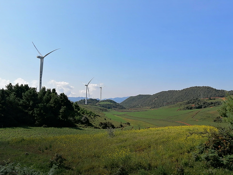 杨柳村草甸旅游景点攻略图