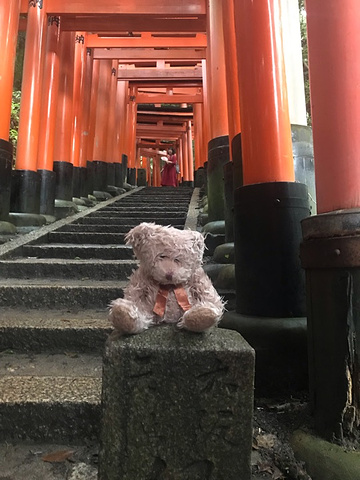 "热闹的不像神社的神社_伏见稻荷大社"的评论图片