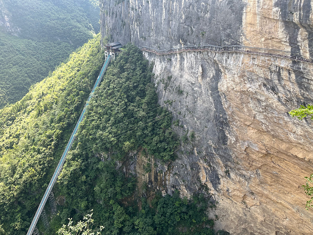 "鹿院坪提前一天在去哪儿app上面买的票，不算热门景点。按照导航从宣恩到鹿院坪，开了四个多小时的车_鹿院坪"的评论图片