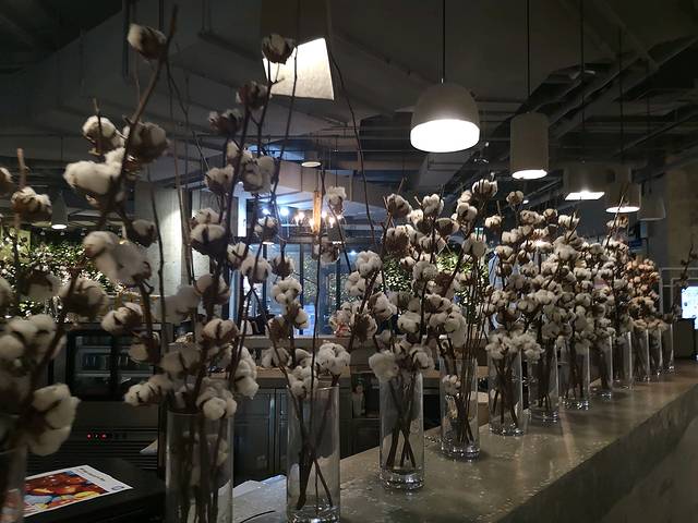 红树林电影工坊