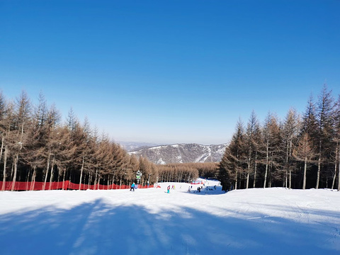 万龙滑雪场旅游景点攻略图
