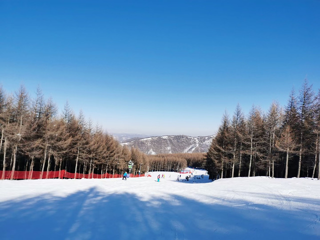 "张家口万龙滑雪场_万龙滑雪场"的评论图片