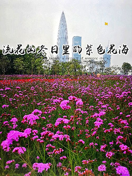 深圳湾公园-流花山旅游景点攻略图