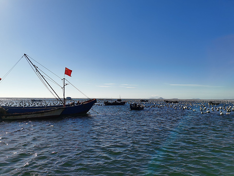 枸杞岛旅游景点攻略图