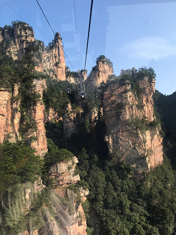 "_袁家界景区"的评论图片