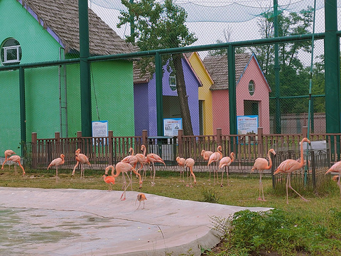 秦皇岛野生动物园旅游景点攻略图