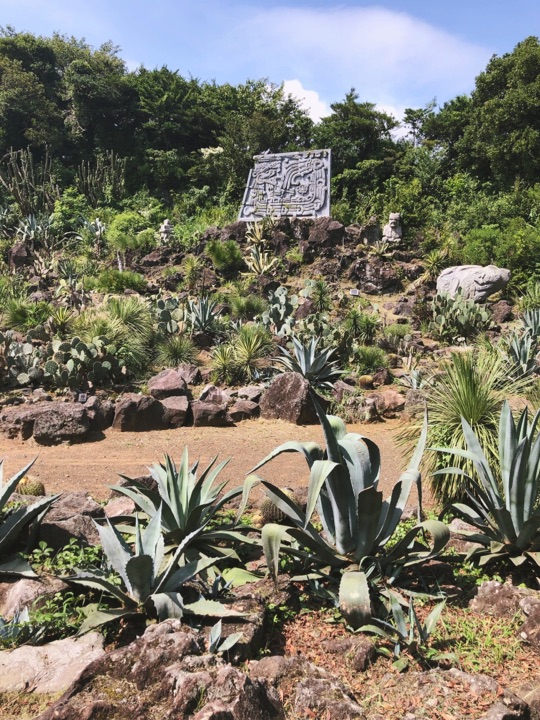 伊豆仙人掌动物园