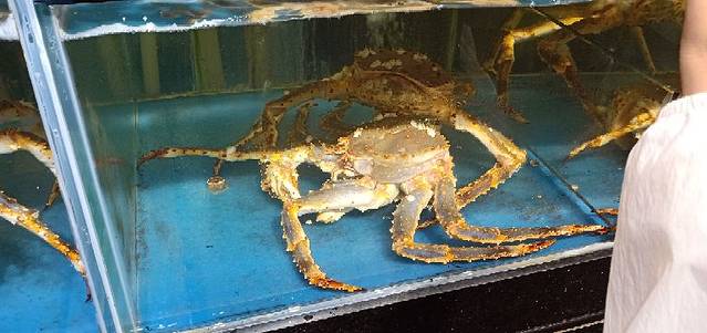 好朋友海鲜烧烤火锅(振三街店)