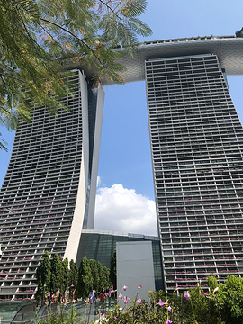 新加坡滨海湾花园旅游景点攻略图