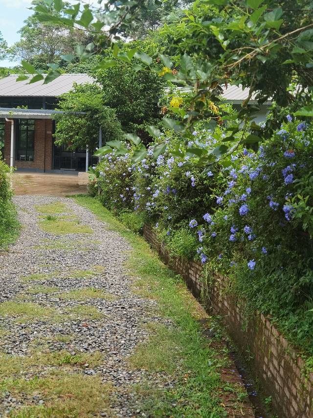 小凹子咖啡庄园