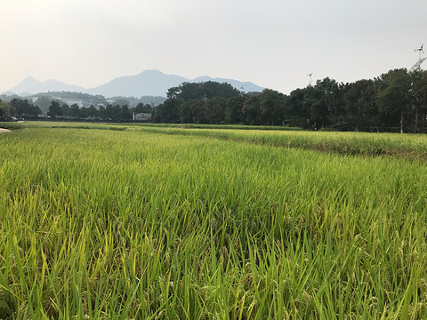 韶山旅游景点攻略图