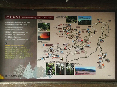 树灵塔旅游景点图片