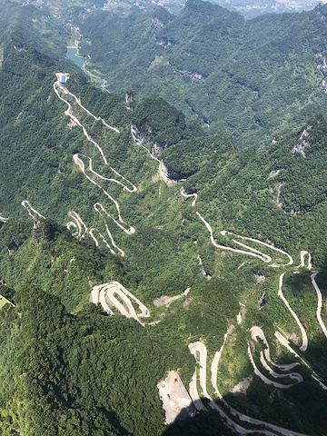 "...的票，个人特别推荐A线，索道上山，环保车下山，我们定的是B线环保车上山，索道下山，没有A线刺激_天门山国家森林公园"的评论图片