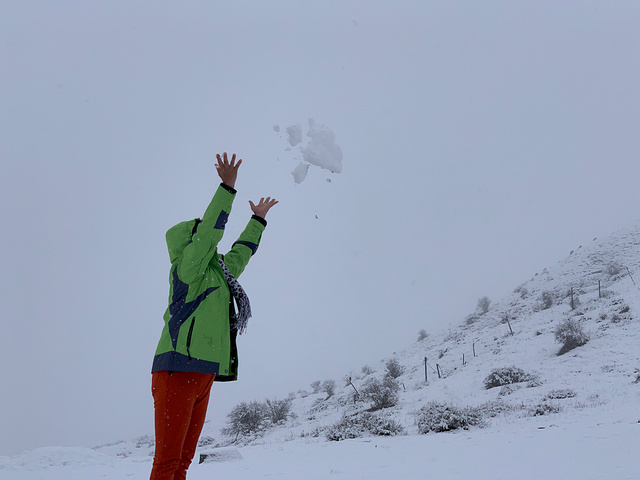 "五月天非常幸运遇到大雪纷飞，忘我欢乐，童心未泯。用完早餐，我们参观了郎木寺。路途中_郎木寺镇"的评论图片