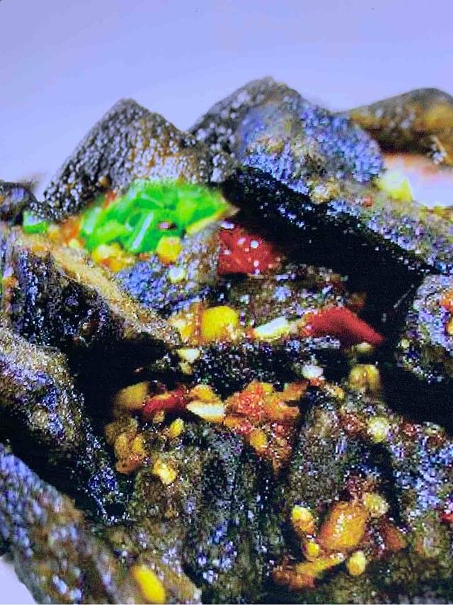 老长沙土钵(长沙黄花国际机场店)