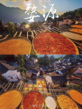 婺源篁岭旅游景点攻略图