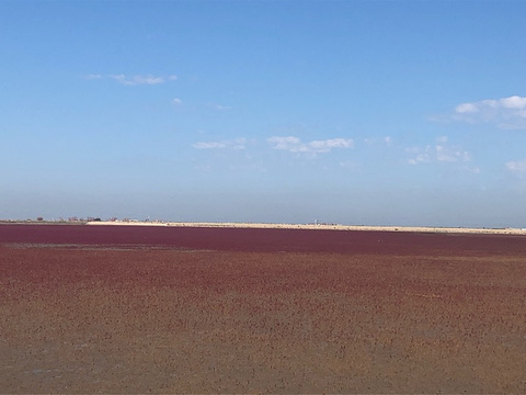 红海滩国家风景廊道旅游景点攻略图