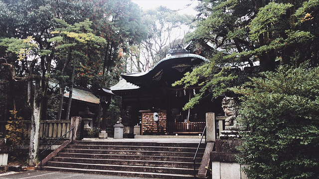 冈崎神社旅游景点图片