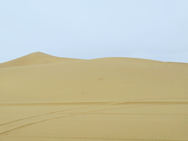 "沙漠黄河绿洲的交织｜沙坡头_沙坡头"的评论图片