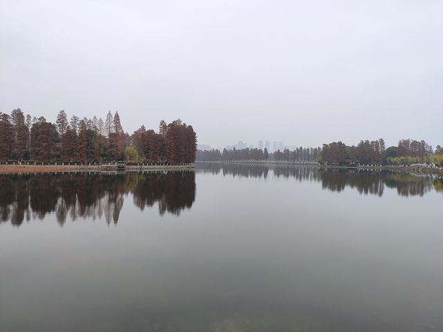 "_东湖"的评论图片