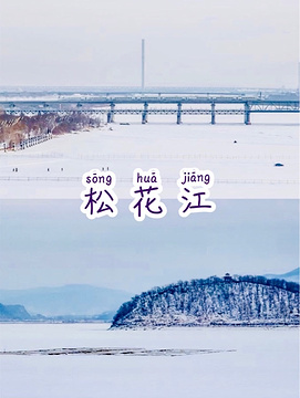 2021松花江-旅游攻略-门票-地址-问答-游记点评,哈尔滨旅游旅游景点推荐-去哪儿攻略