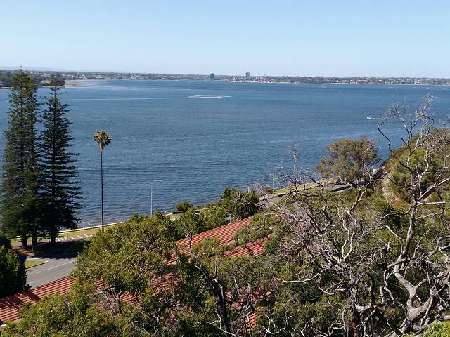 国王公园&植物园