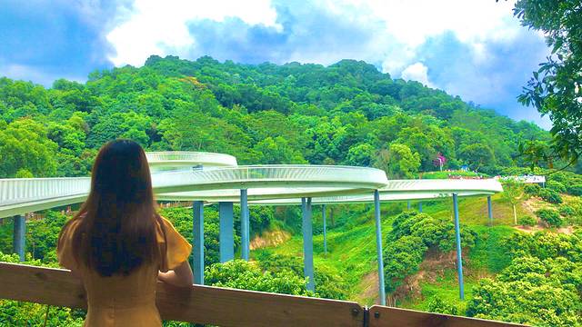 大顶岭山林公园