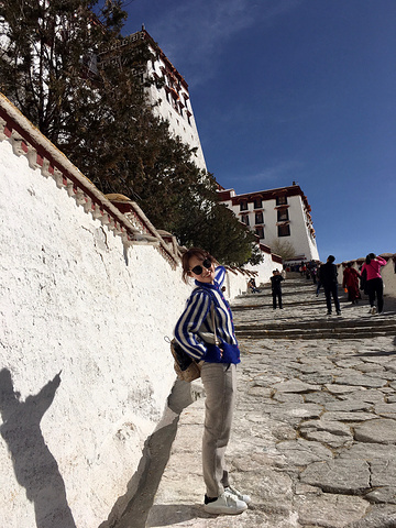 "布达拉宫可以说是最能代表西藏的象征，怎么评价它也不过份。去西藏不去布达拉宫，等于没有去西藏_布达拉宫"的评论图片