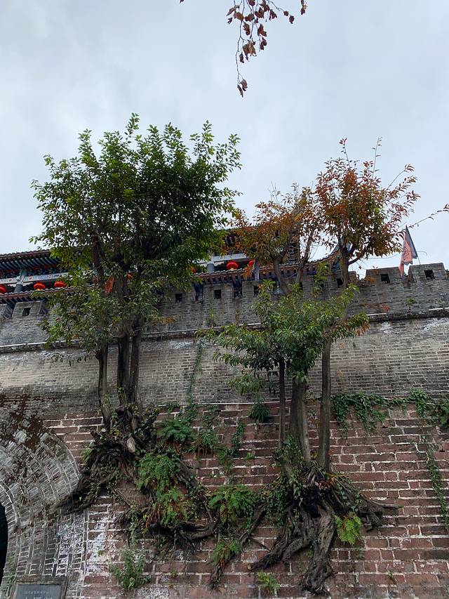 王记清香牛羊杂粉(海河帝景店)